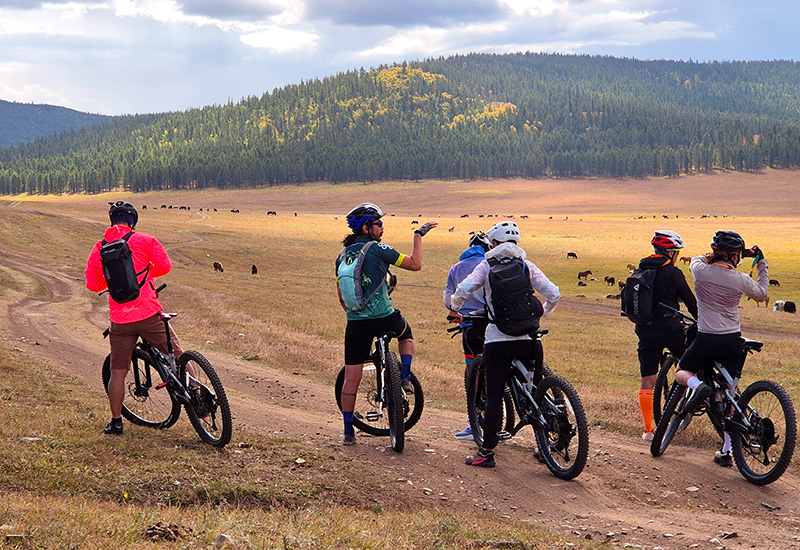 Cyclin tour instruction